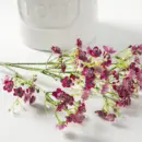 Star Stimulation Flower | Minimalist Flower for Home Decor