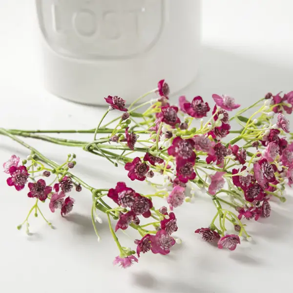 Star Stimulation Flower | Minimalist Flower for Home Decor