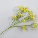 Star Stimulation Flower | Minimalist Flower for Home Decor