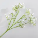 Star Stimulation Flower | Minimalist Flower for Home Decor