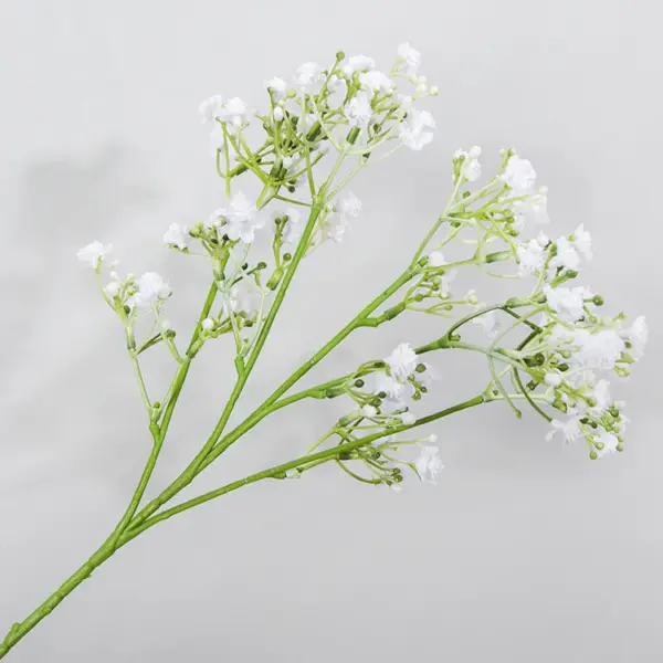 Star Stimulation Flower | Minimalist Flower for Home Decor - Image 4