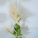 Faux Millet Grass Flower Stick (White) - 33 CM | Add timeless elegance to your home