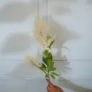 Faux Millet Grass Flower Stick (White) - 33 CM | Add timeless elegance to your home
